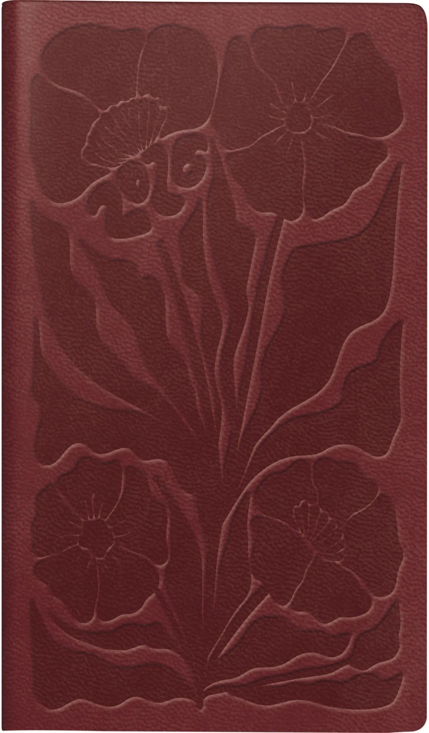 RIDOIDE TA International 2026 7016915026.26 1W/2S dunkelrot ML 8.7x15.3cm Idealshop