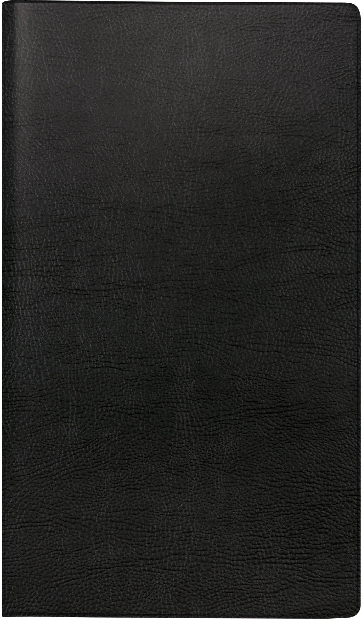 RIDOIDE TA International Wire-O 2026 7017804906.26 1W/2S schwarz ML 8.7x15.3cm Idealshop