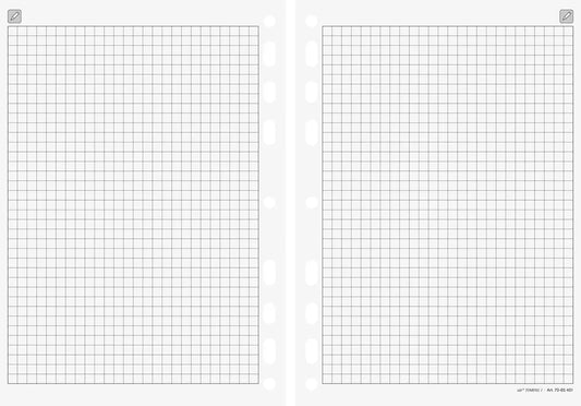 RIDOIDE Timing 2 Notizen kariert 7066451.26 32 Blatt 9.3x17.2cm Idealshop