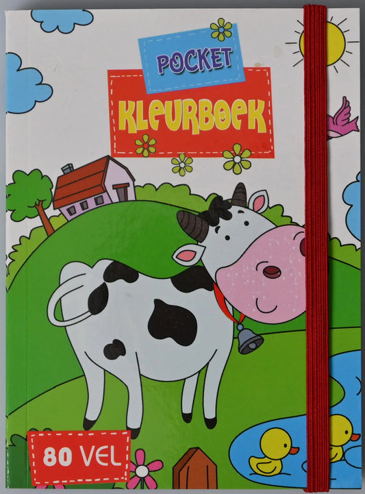 ROOST Taschen Malbuch B0582 2 assortiert 10x13,8cm Idealshop
