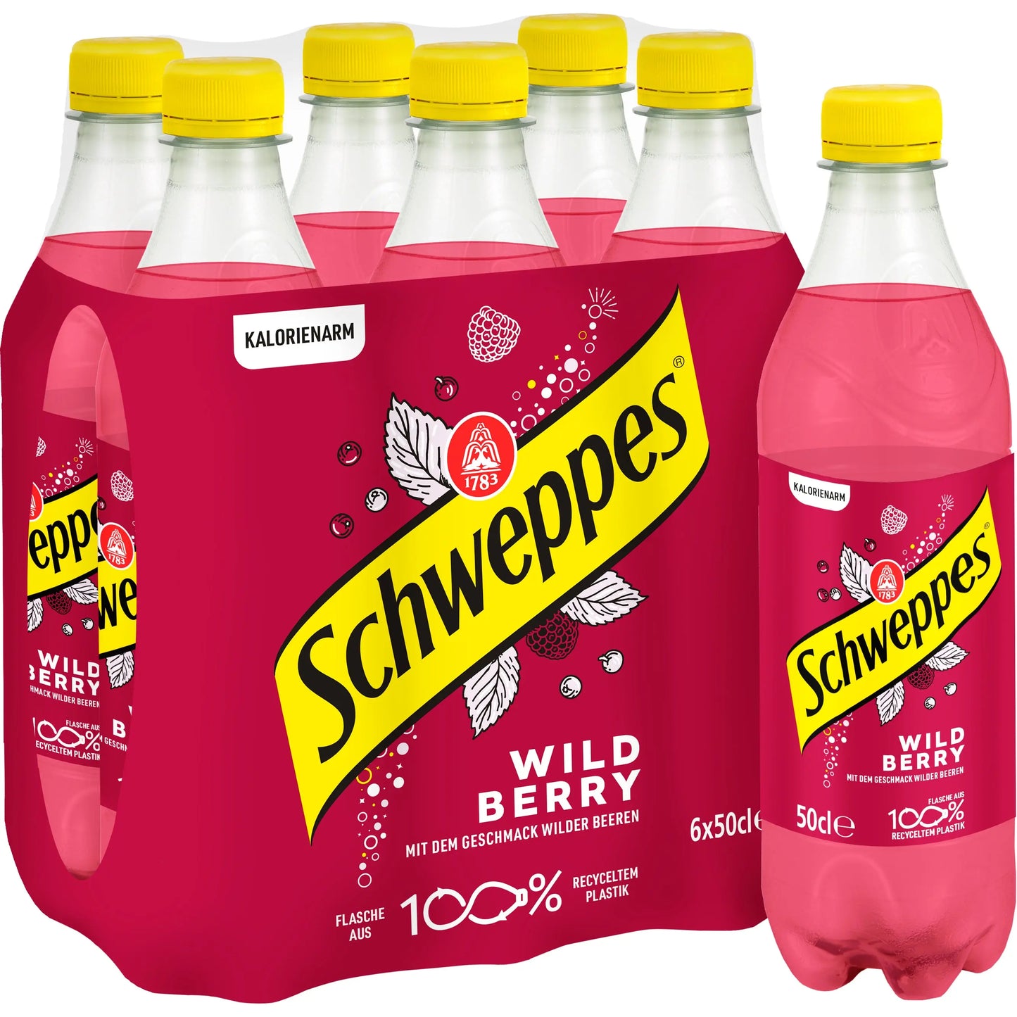 SCHWEPPES Wild Berry 11020621 50 cl, 6 Stk. Idealshop