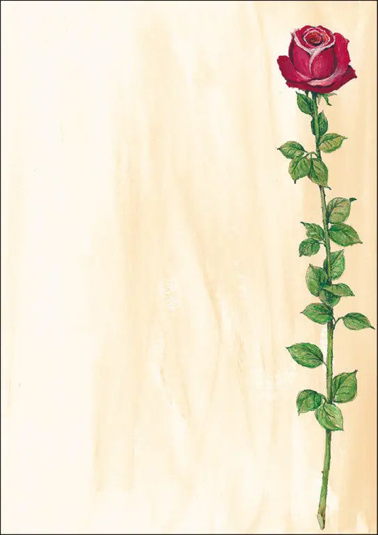 SIGEL     Designpapier                A4 Idealshop