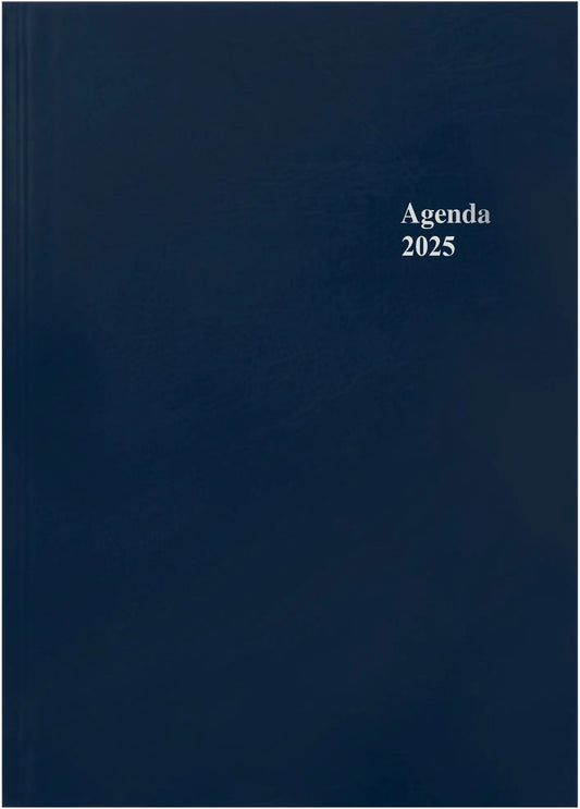 SIMPLEX   Geschäftsagenda           2025 Idealshop