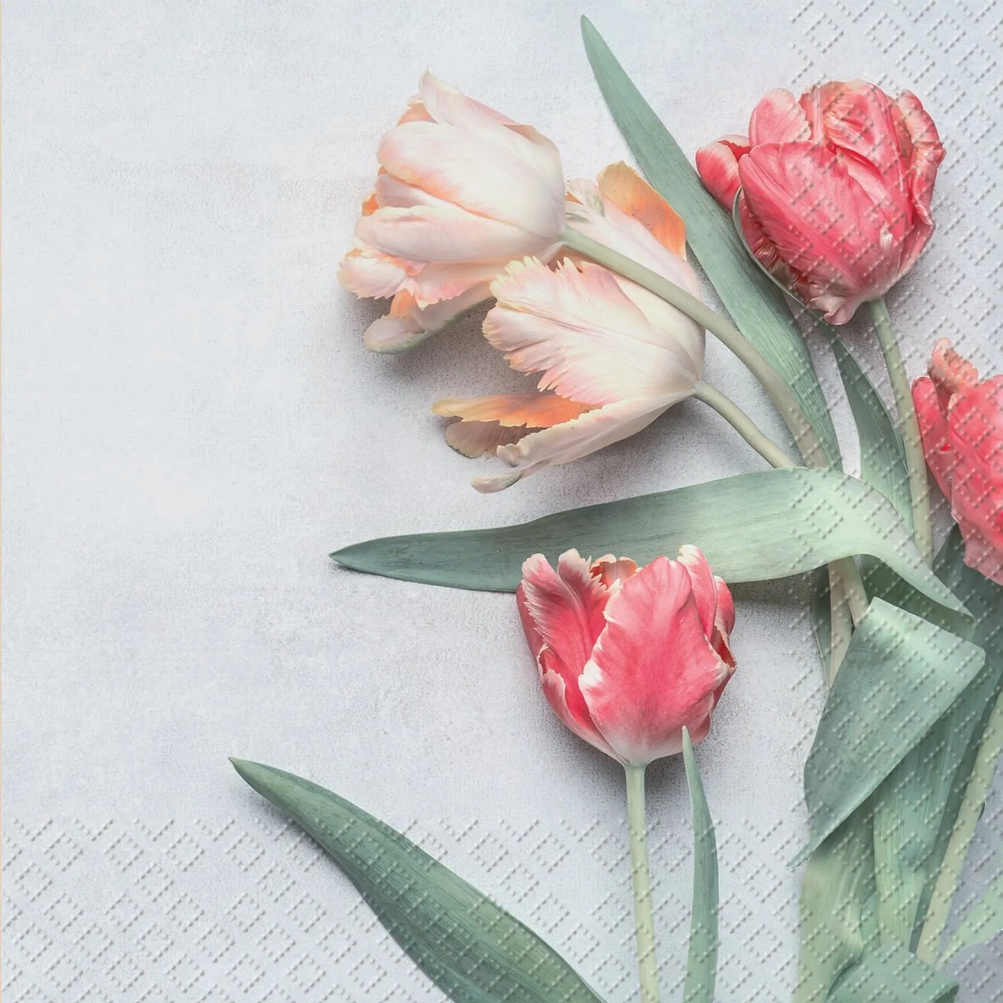 STEWO     Serivette Tulipe       33x33cm Idealshop