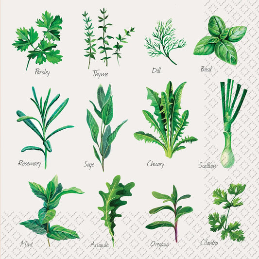 STEWO Serviette Herb 33x33cm 2572598745 grün 20 Stück Idealshop