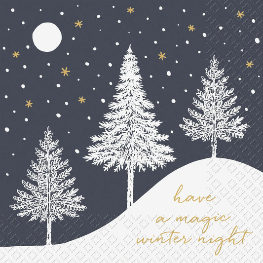 STEWO     Serviette Hiver        33x33cm Idealshop