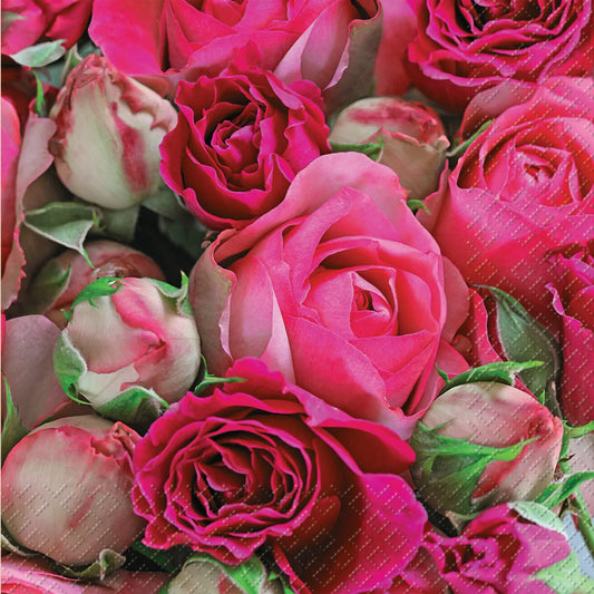 STEWO     Serviette Rapsody      33x33cm Idealshop