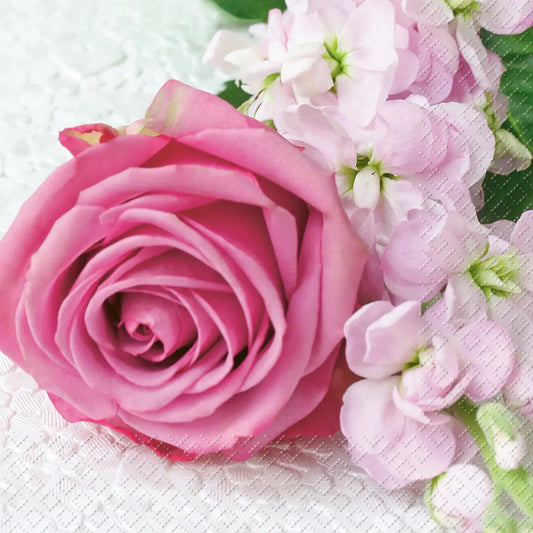 STEWO Serviette Vanessa 25x25cm 2573621128 pink 20 Stück Idealshop