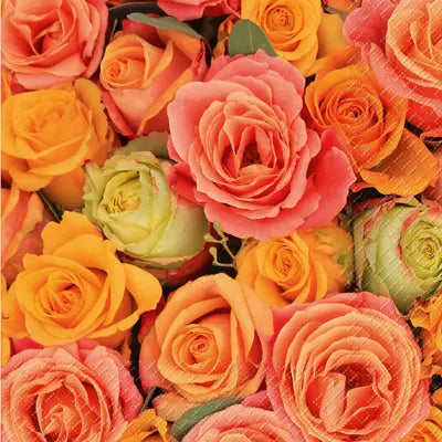 STEWO     Servietten Rosso       33x33cm Idealshop