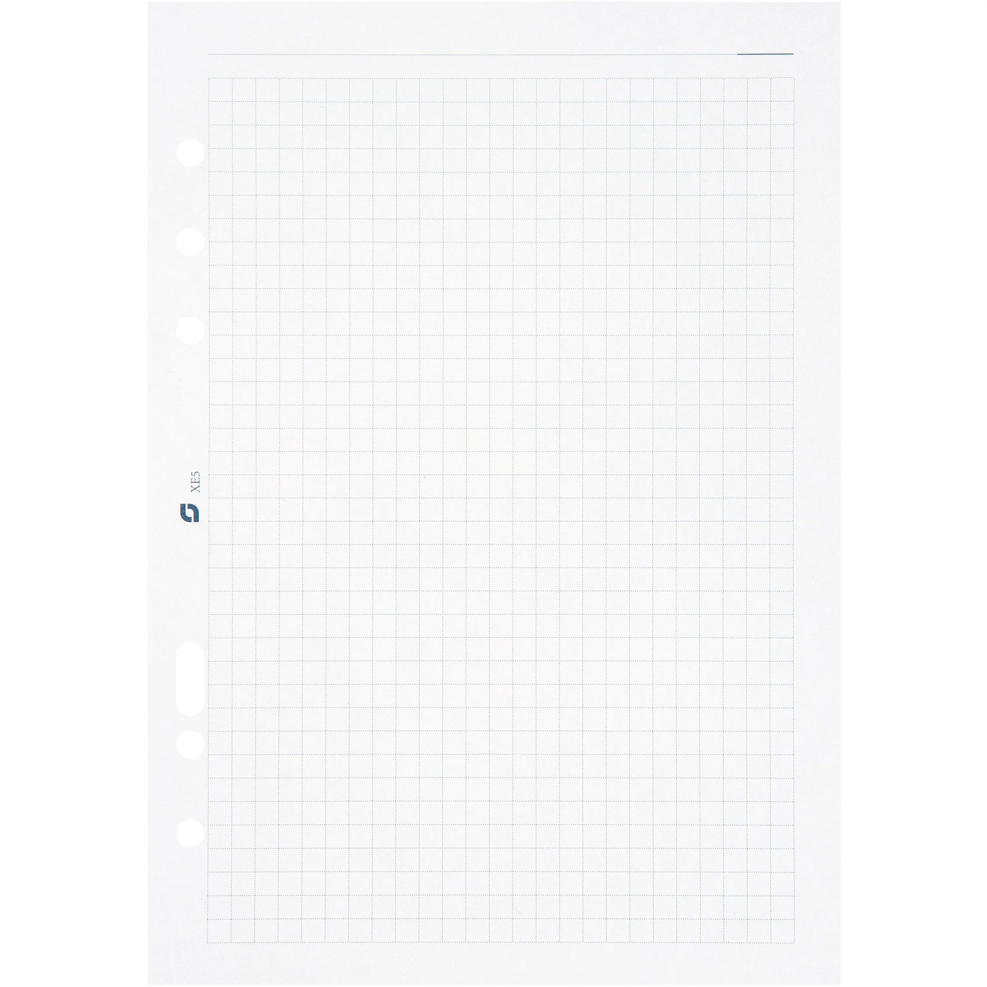 SUCCES Agenda A5 Notizpapier 84700500U kariert weiss 14.8x21cm Idealshop