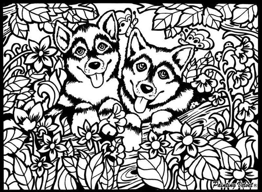 TATARUGA Samtbild A4 S5 Huskys Idealshop