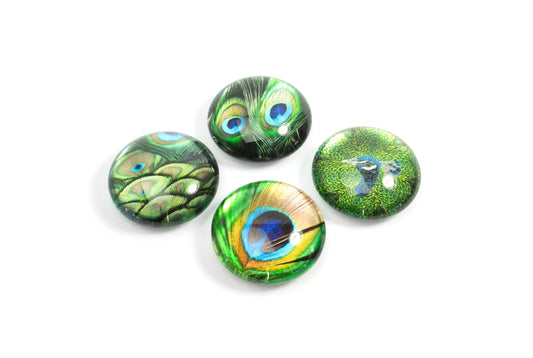 TRENDFORM EYE Magnete PEACOCK EY2020 4er Set Idealshop