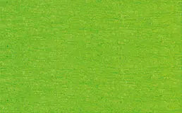 URSUS Bastelkrepp 50cmx2,5m 4120353 32g, hellgrün Idealshop
