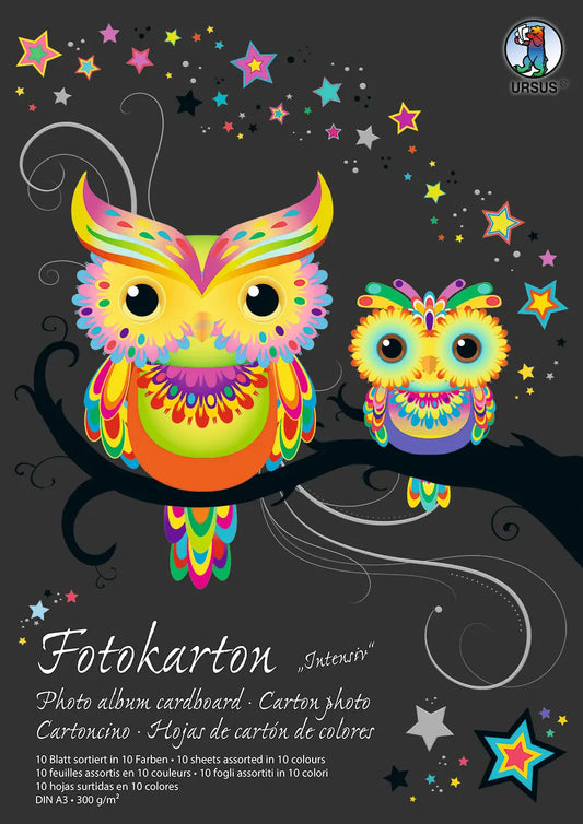 URSUS Fotokarton-Block A3 3814099SE 300g, 10 Farben int. 10 Blatt Idealshop