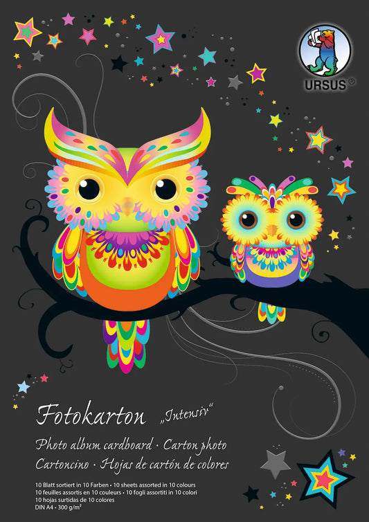 URSUS Fotokarton-Block A4 3704699SE 300g, 10 Farben int. 10 Blatt Idealshop