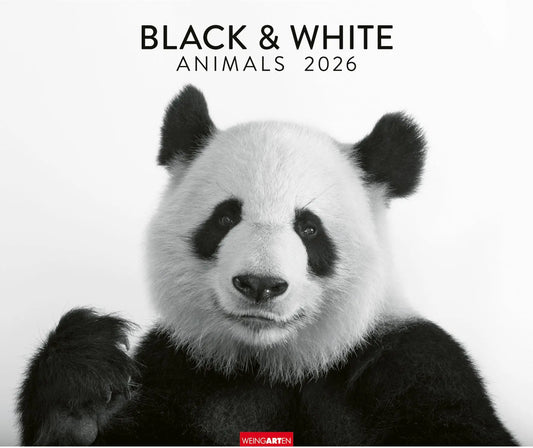 WEINGARTEN Bildkalender 2026 3312243+26 Black&White Animals 55x46cm Idealshop